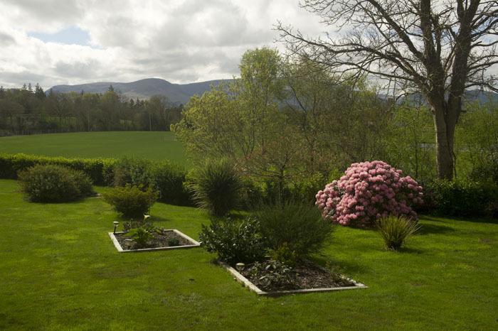 Reeks View Bed & Breakfast Teernaboul Exterior foto
